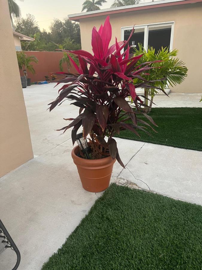 Golden Glades Paradise Oasis1 מראה חיצוני תמונה